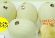 Dưa lê Nhật giá 600.000 đồng/kg có gì đặc biệt?
