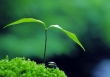 3 không hỏi, 4 không ăn, 5 không chạm là gì?
