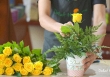 7 mẹo nhỏ giúp bạn giữ hoa tươi lâu hơn trong ngày Tết