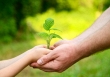 Tử vi hàng ngày 15/1/2020 của 12 con giáp: Tý sẵn sàn cho tình yêu lâu dài, Thìn đừng để bị phân tâm