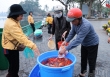 Người dân Hà Nội nô nức thả cá chép tiễn ông Táo về trời