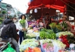 Nhộn nhịp chợ hoa Quảng An ngày Quốc tế Phụ nữ 8/3