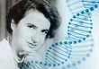 Rosalind Franklin người phụ nữ đằng sau “Bức ảnh 51” bị lãng quên trong lịch sử ADN