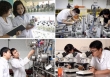 Bộ KH&CN ban hành khung hướng dẫn phát triển khoa học, công nghệ, đổi mới sáng tạo và chuyển đổi số tại địa phương