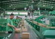 Vì sao Giao hàng tiết kiệm ngưng nhận đơn đúng dịp cao điểm Tết Nguyên đán?