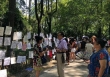 Nghề mai mối dạo trong công viên ở Thượng Hải (Trung Quốc): Mua dịch vụ hơn 300.000/tháng thì có thể tìm được bạn đời lý tưởng?