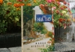'Phố nhà thờ' - Câu chuyện tình lãng mạn qua lăng kính xã hội của chàng Tây nói tiếng Ta