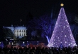 Những cây thông Noel đẹp nhất Thế giới
