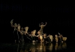 Nghệ sỹ Việt đưa kiệt tác ‘Truyện Kiều’ lên sân khấu ballet