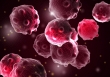 Virus đậu mùa bò có thể tiêu diệt mọi loại ung thư