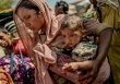 The New York Times công bố những hình ảnh gây ám ảnh nhất trong 1 thập kỷ qua
