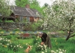 Ngôi nhà trong rừng đẹp như chốn thần tiên của nữ họa sĩ người Mỹ Tasha Tudor