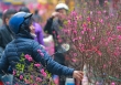 Mưa rét ở Bắc Bộ, nhiệt độ xuống 13 độ C