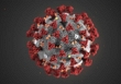 Tổ chức Y tế thế giới (WHO) giải đáp các thắc mắc về virus corona