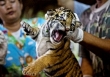  WWF tuyên bố 'đóng cửa' thị trường buôn bán động vật hoang dã