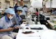 Dịch bệnh đang ảnh hưởng tiêu cực đến nguồn cung nguyên liệu cho các doanh nghiệp