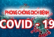 Hội Nữ trí thức Việt Nam tích cực tham gia phòng chống covid-19