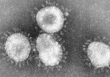 Tự ý dùng thuốc làm tăng nguy cơ kháng thuốc, đột biến chủng virus gây Covid-19