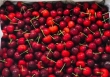 Giá cherry tăng gần 1 triệu đồng/kg nhưng vẫn hút giới nhà giàu Việt.