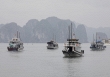 Reuters nhận định Việt Nam có thể tham gia 'du lịch biệt lập' cùng các nước chống dịch thành công