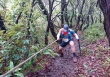 Ban tổ chức giải marathon quốc tế Dalat Ultra Trail nói gì về sự cố VĐV bị lũ cuốn tử vong?