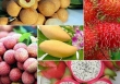 6 loại trái cây tươi ở Việt Nam 'xuất ngoại' thành công 