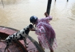 'Bão nghiêng đêm, bão ở trong lòng'
