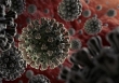 Biến chủng mới của virus corona tại Anh có tốc độ lây lan nhanh 