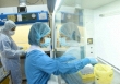 Bộ Y tế đề nghị dừng tổ chức, hạn chế bay từ quốc gia có virus biến thể