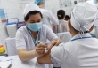 Chuyên gia nói gì việc uống nước ép lá tía tô trước khi tiêm vắc xin Covid-19?