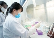 Nhiều người Việt mang đột biến gene ung thư di truyền