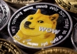 Giá sụt giảm mạnh, bong bóng Dogecoin, Shiba Inu đã vỡ?