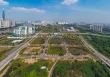  Cục Thuế TP.HCM chưa nhận được tiền từ 3 doanh nghiệp trúng đấu giá mua đất Thủ Thiêm 