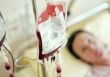 Khoảng 14 triệu người Việt Nam có gen bệnh Thalassemia phải truyền máu cả đời