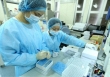 Nhà khoa học nữ trong đại dịch Covid-19: Chưa bao giờ yêu 2 tiếng 'bình thường' đến thế