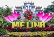 50.000 bông hoa hồng tạo nên lễ hội hoa đặc sắc ở Hà Nội