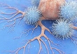 Vaccine ung thư mới khiến tế bào ung thư tiêu diệt chính 'gia đình' mình