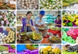 9 món ăn của Việt Nam xác lập kỷ lục châu Á