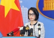 Việt Nam lên tiếng việc tàu cá Quảng Ngãi bị tàu nước ngoài truy đuổi, tấn công ở Hoàng Sa
