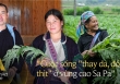 Về Sa Pa, nhìn người Mông đổi đời nhờ cây Atiso: “Chúng tôi xây được nhà, mua được xe, bữa cơm nào cũng có thịt”