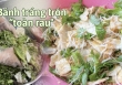 Cũng là bánh tráng trộn nhưng phiên bản tại Bình Định lại ngập tràn rau xanh và “lành mạnh” hơn hẳn