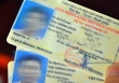 Trường hợp bắt buộc phải đổi Giấy phép lái xe trước 15/10/2023, vi phạm có thể bị xử lý nghiêm