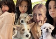 BLACKPINK chiều thú cưng đến mức nào: Cún nhà Jennie đi dạo phố bằng xe đẩy, cún của Rosé có túi xách hơn 3000 đô