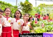 Mê mẩn vườn rau, khu vui chơi trên sân thượng của một trường mầm non công lập: Không gian xanh mướt, rau củ không thiếu gì