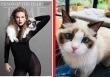 Mèo cưng mắt xanh 'quý hơn vàng' của Taylor Swift mới xuất hiện sang trọng trên bìa tạp chí cùng chủ nhân, có giá trị ước tính 2.400 tỷ VNĐ