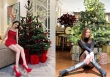 Màn 'flex' đã mắt của hai mỹ nhân Vbiz: Khoe nhà lộng lẫy trước Noel nhưng có một chi tiết 'cực hot' khiến netizen bị hút mắt