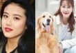 Tro cốt Châu Hải My được đưa về Hong Kong, gia đình hoàn thành tâm nguyện cuối cùng của nữ diễn viên