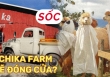 Chika Farm Đà Lạt bất ngờ thông báo đóng cửa dù đông khách, khiến dân tình vô cùng hoang mang