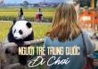 Top 10 xu hướng du lịch của người trẻ Trung Quốc: Biến hóa muôn hình vạn trạng theo 'túi tiền', trải nghiệm những chuyến đi hướng về nội tâm