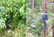 Hé lộ nguyên nhân con rể truy sát cả gia đình vợ ở Nghệ An